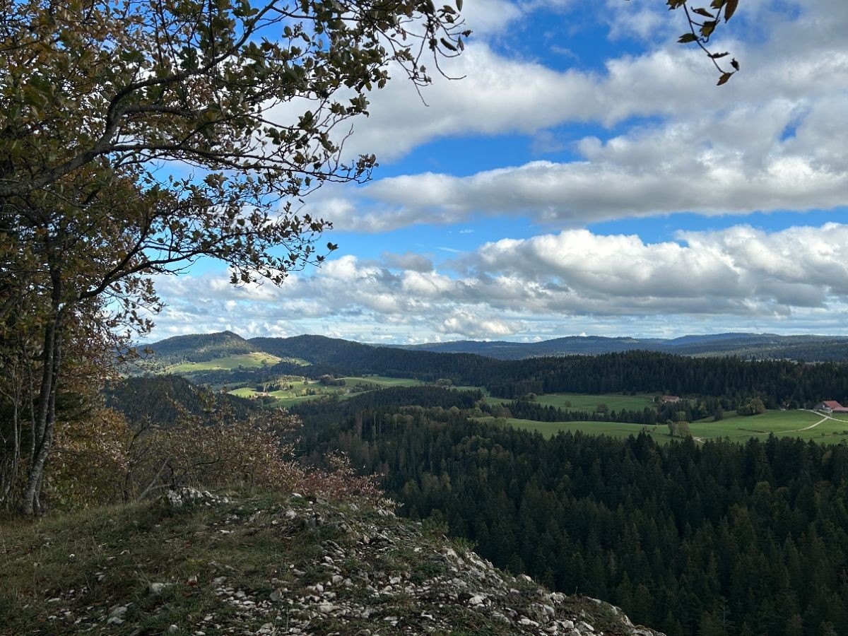 Les Rochers du Cerf (09-11-2025)